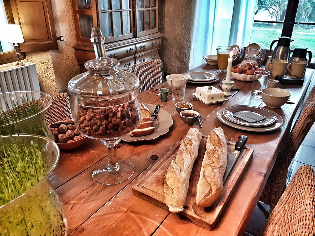 Le Domaine Saint Martin Bed & Breakfast Flassans-sur-Issole Екстериор снимка