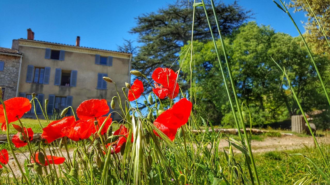 Le Domaine Saint Martin Bed & Breakfast Flassans-sur-Issole Екстериор снимка